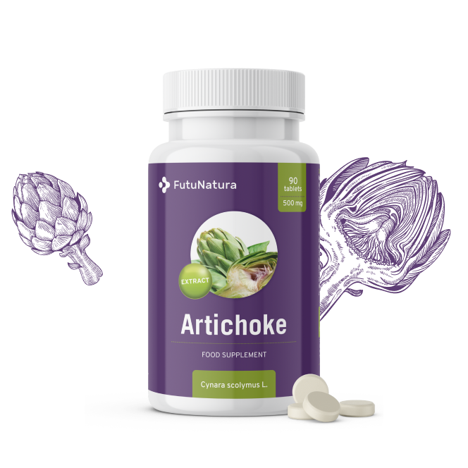 Articsóka - detox