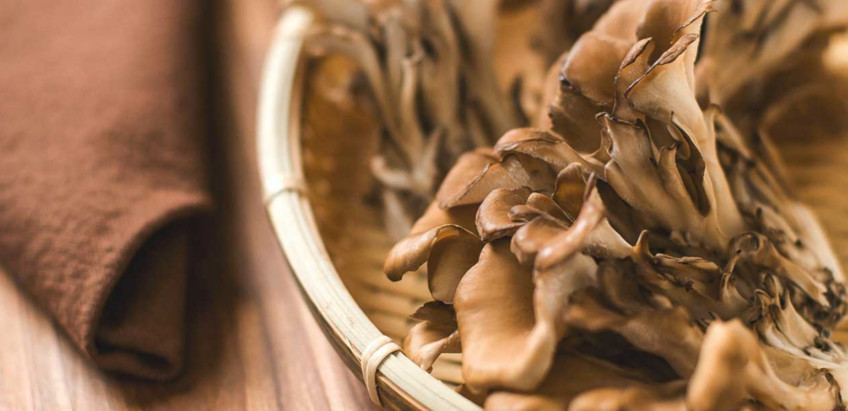 Maitake
