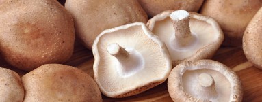 Siitake