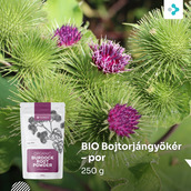 Image preview 1