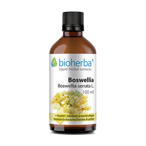 Boswellia tinktúra.