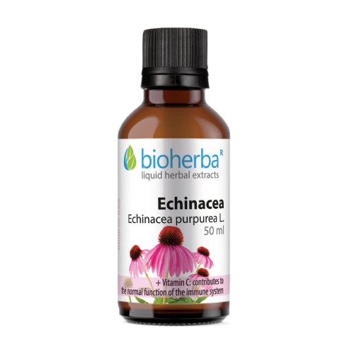 Echinacea tincture.