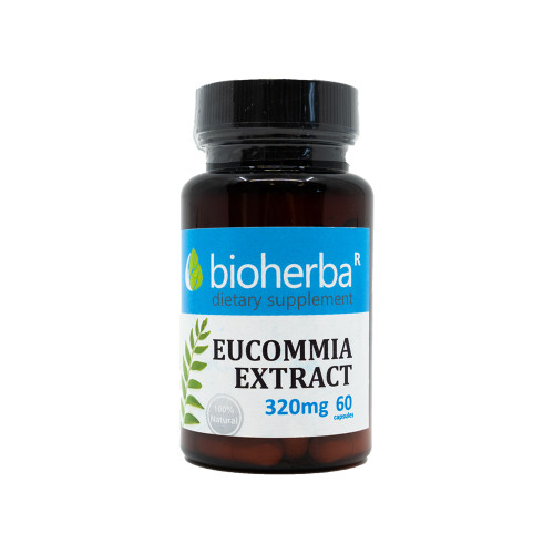 Eucommia kivonat 320 mg, 60 kapszula