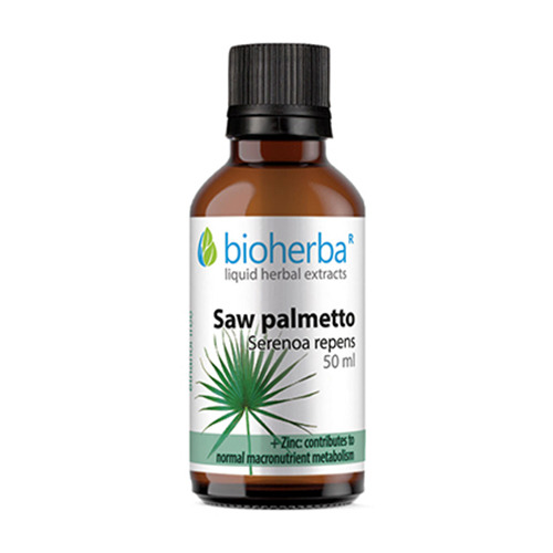 Saw Palmetto tinktúra.