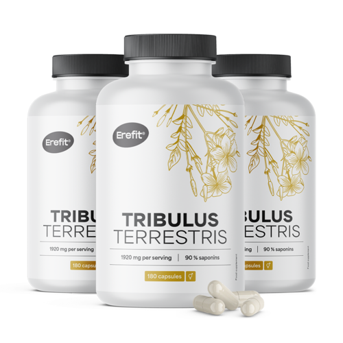 Tribulus – navadna zobačica 1920 mg