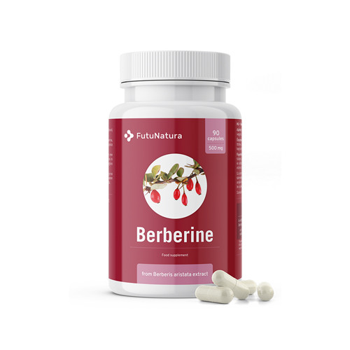 Berberin 500 mg Berberis aristata kivonatból