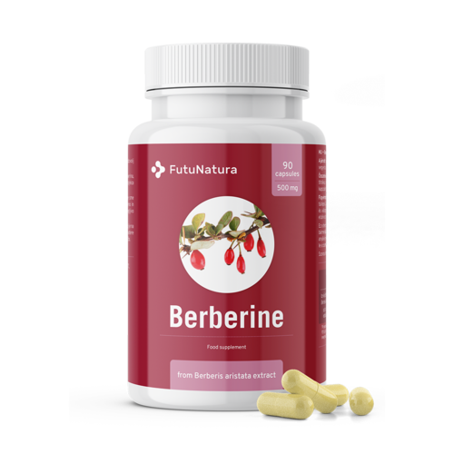 Berberin 500 mg a Berberis aristata kivonatából

Berberin 500 mg Berberis aristata kivonatából