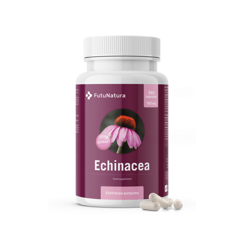 Bíbor kasvirág – 10:1 kivonat, 360 kapszula