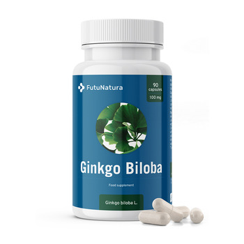 Ginkgo biloba a memóriáért