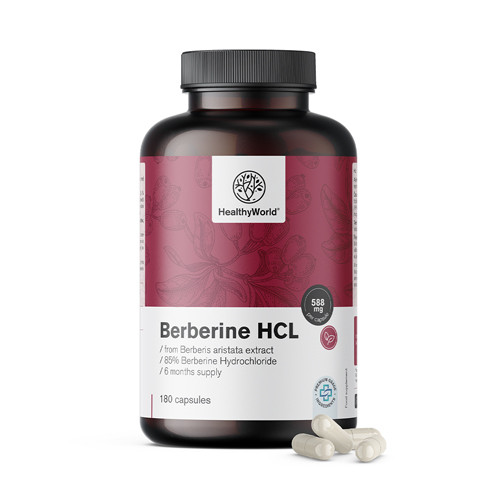 Berberine HCL 500 mg Berberis aristata kivonatból