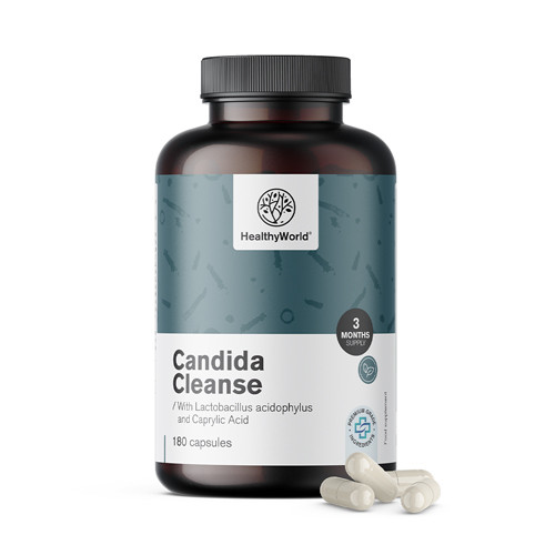 Candida Cleanse Lactobacillus acidophylus és Bifidobacterium bifidum kultúrákkal