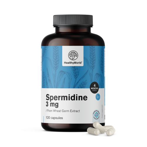 Spermidin 3 mg - búzacsíra kivonatból