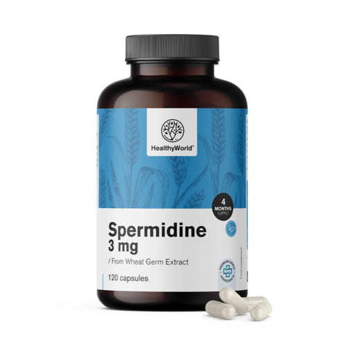Spermidin 3 mg – búzacsíra kivonatból, 120 kapszula