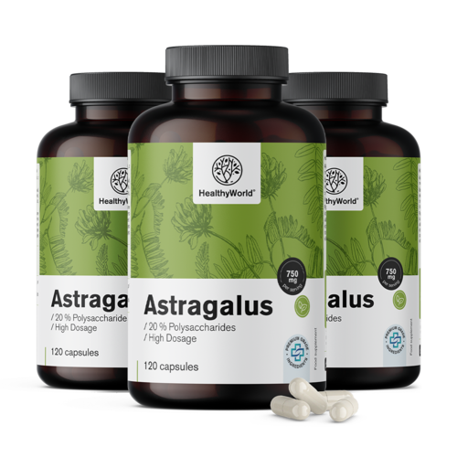 3x Astragalus – kivonat, összesen 360 kapszula