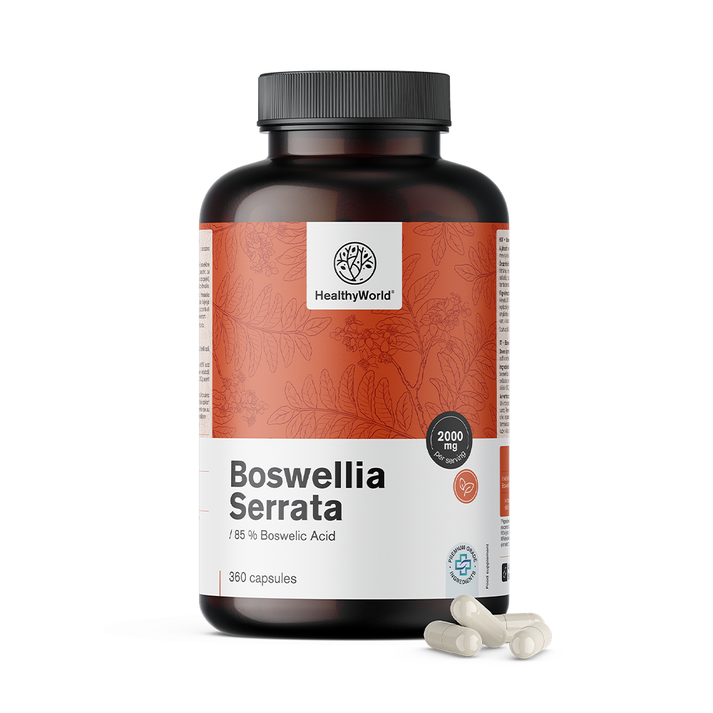 Boswellia (Boswellia Serrata) – 85 % boswellia sav