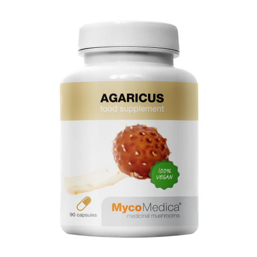 Agaricus gobe.
