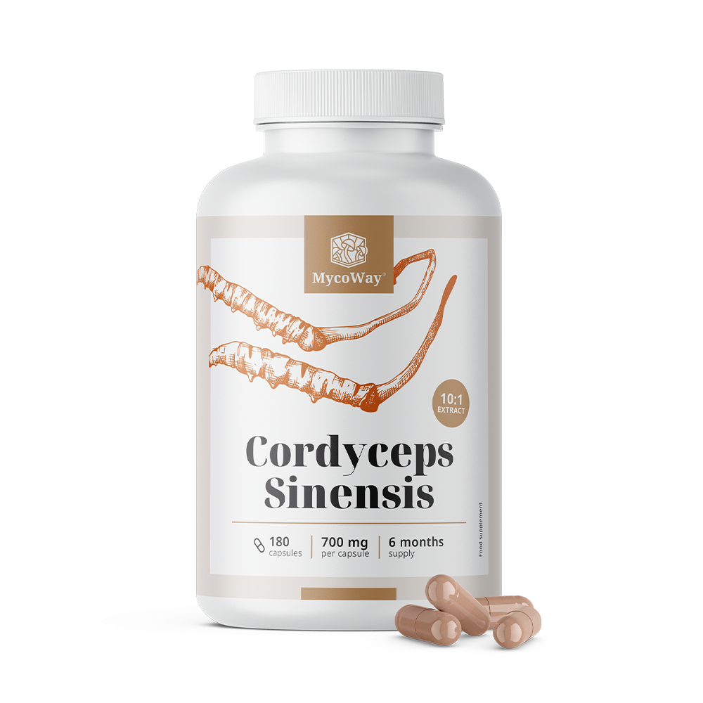 Cordyceps sinensis 1400 mg - kivonat 10:1.