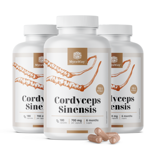 3x Cordyceps sinensis 1400 mg – 10:1 kivonat, összesen 540 kapszula
