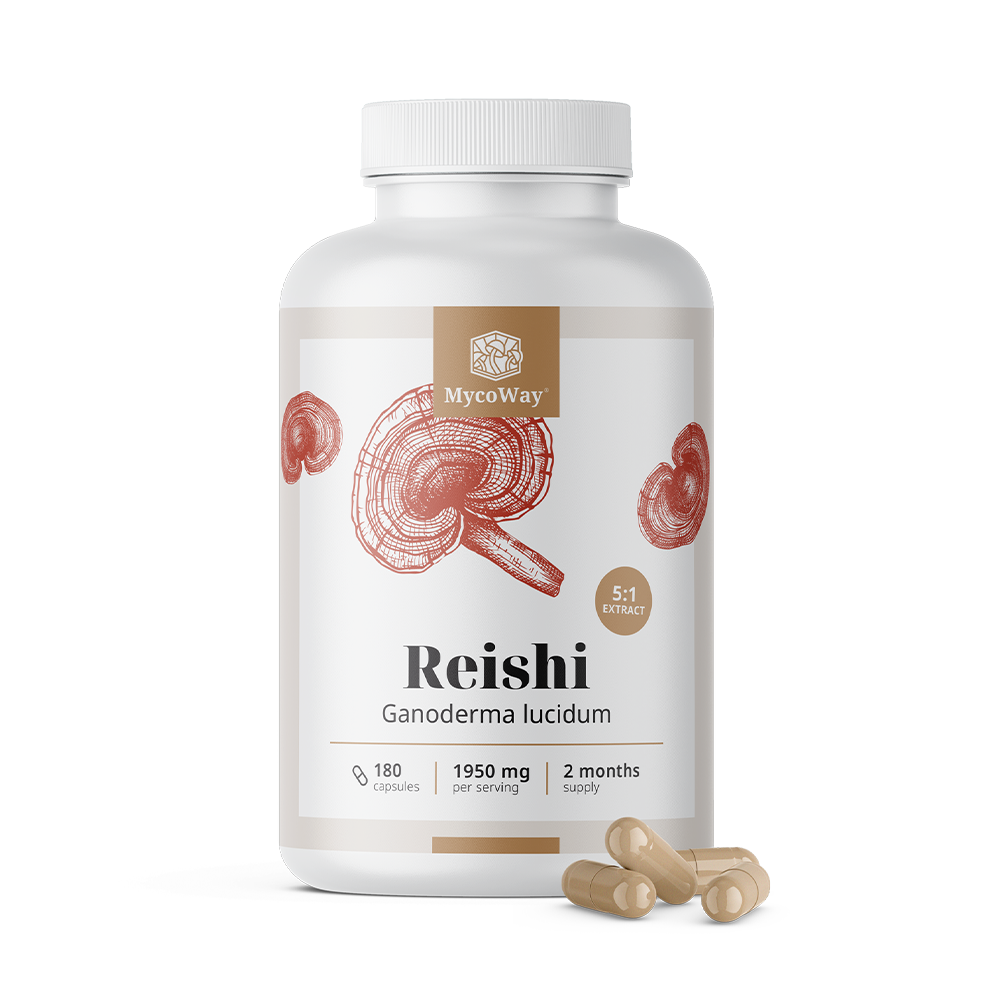Reishi 1950 mg - kivonat 5:1.