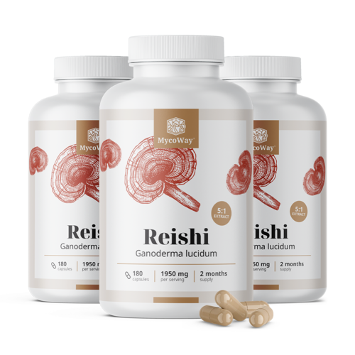 3x Reishi 1950 mg - 5:1 kivonat, összesen 540 kapszula