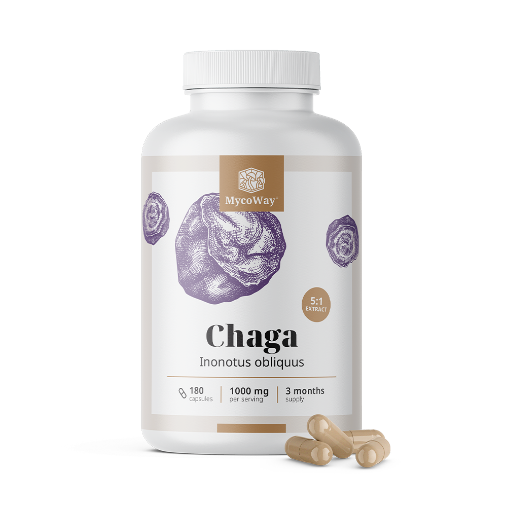Chaga 1000 mg - kivonat 5:1