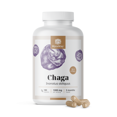 Chaga 1000 mg – 5:1 kivonat, 180 kapszula