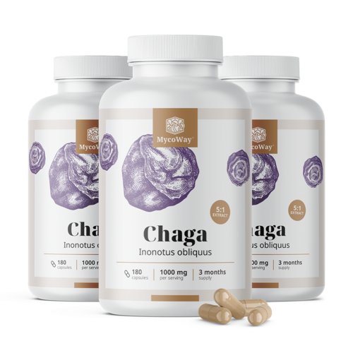 3x Chaga 1000 mg – 5:1 kivonat, összesen 540 kapszula