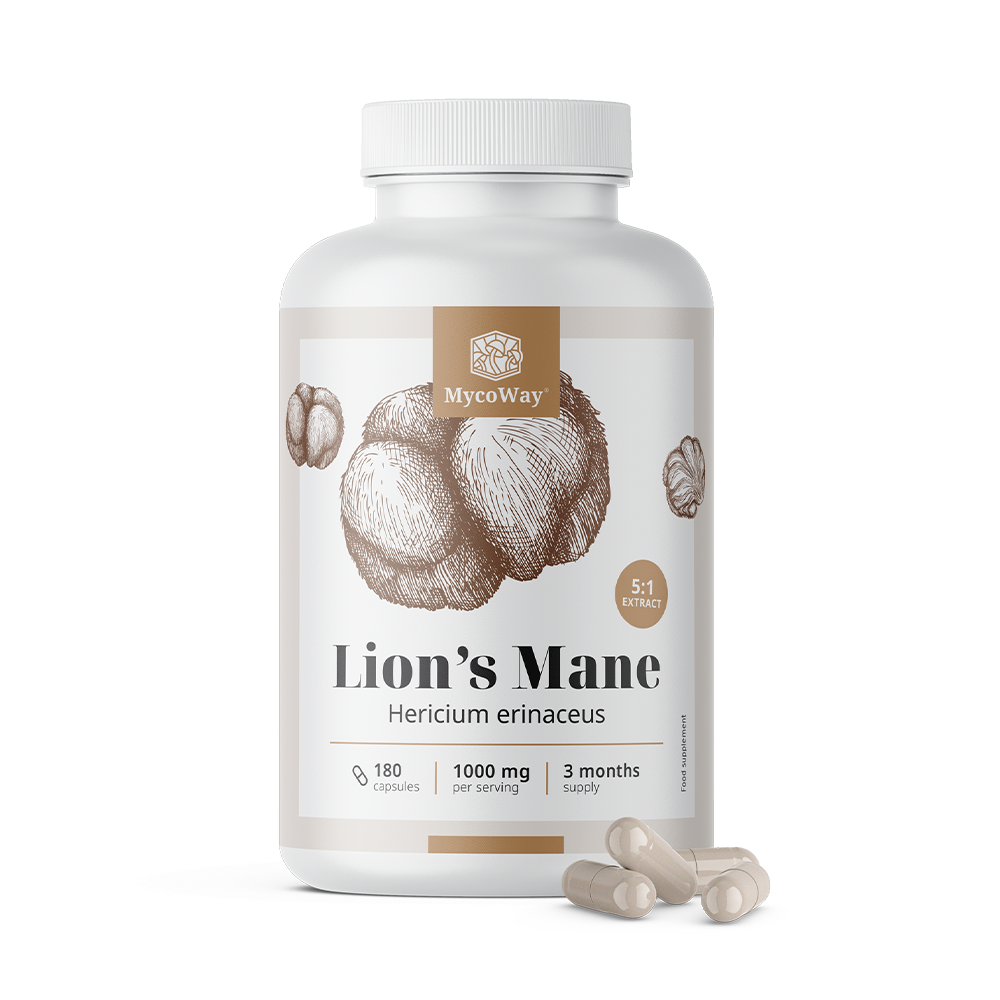 Süngomba 1000 mg – 5:1 kivonat