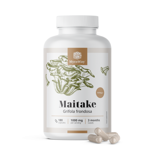 Maitake 1000 mg – kivonat, 180 kapszula