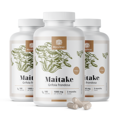 3x Maitake 1000 mg – kivonat, összesen 540 kapszula