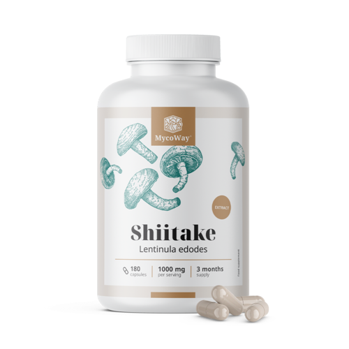 Shiitake 1000 mg – kivonat, 180 kapszula