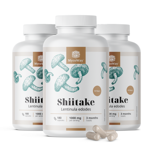 3x Shiitake 1000 mg – kivonat, összesen 540 kapszula
