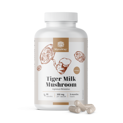 Tiger Milk 300 mg – Lignosus rhinocerus gomba kivonat, 90 kapszula