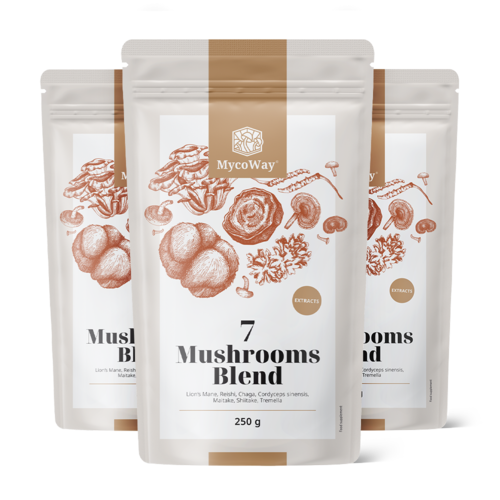 3x 7 gombakeverék por, összesen 750 g