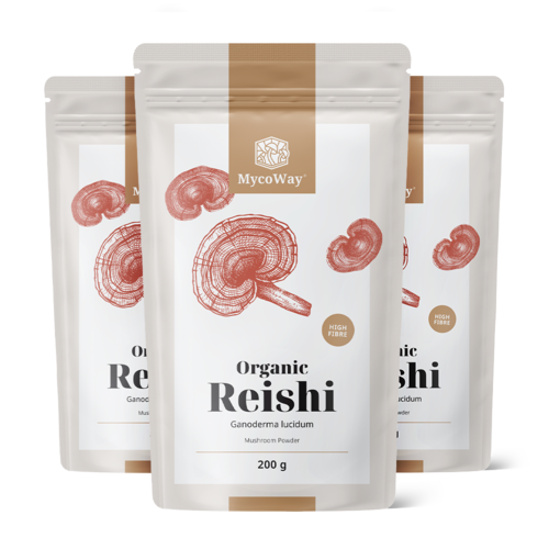 3x BIO Reishi por, összesen 600 g