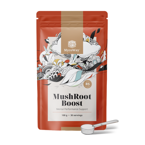 MushRoot Boost – ital a szellemi teljesítményhez, 100 g