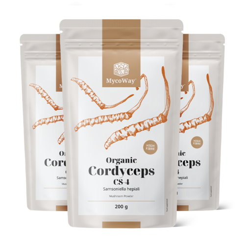 3x BIO Cordyceps CS-4 por, összesen 600 g