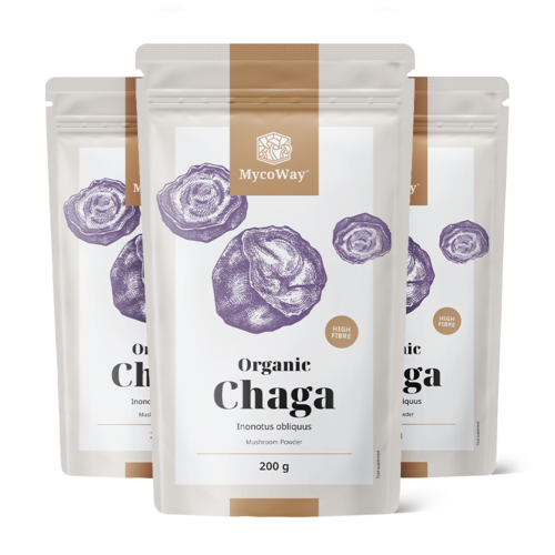 3x BIO Chaga por, totale 600 g