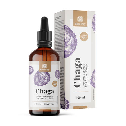 Chaga – kivonat cseppekben, 100 ml