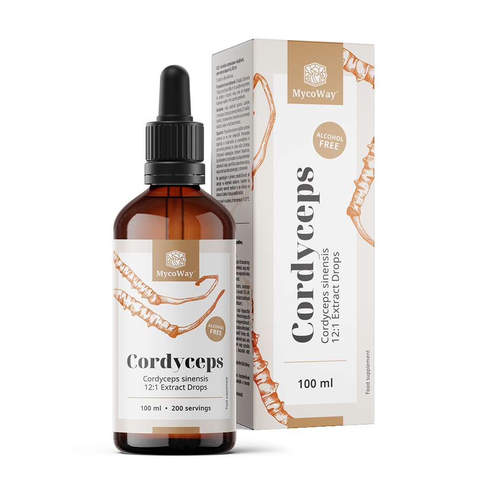 Cordyceps – kivonat cseppekben