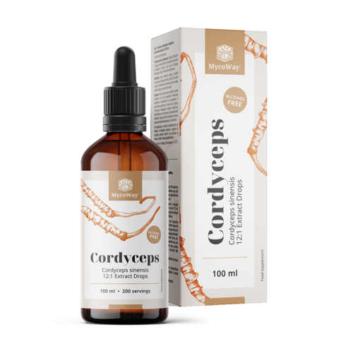 Cordyceps – kivonat cseppekben, 100 ml